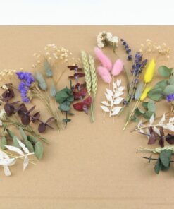 Trockenblumen